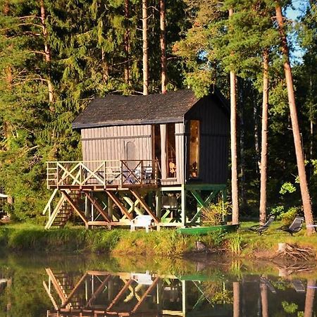 Dragon House In The Tree! Jacuzzi, Sauna ,Cinema,Heated Lici  Exterior foto